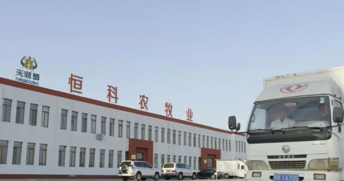 疫情之下,牧民收入一分没减