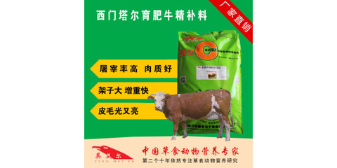 新肉牛精饲料