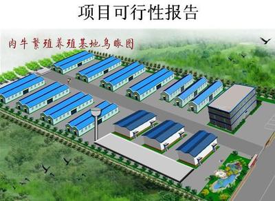 高精铝板带项目可行性研究报告