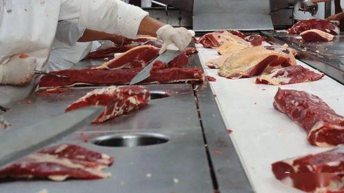 爱尔兰不同地区的3家肉品加工厂报告15例covid 19阳性病例